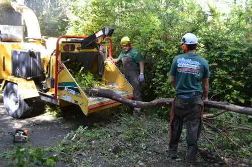 tree services West Pensacola